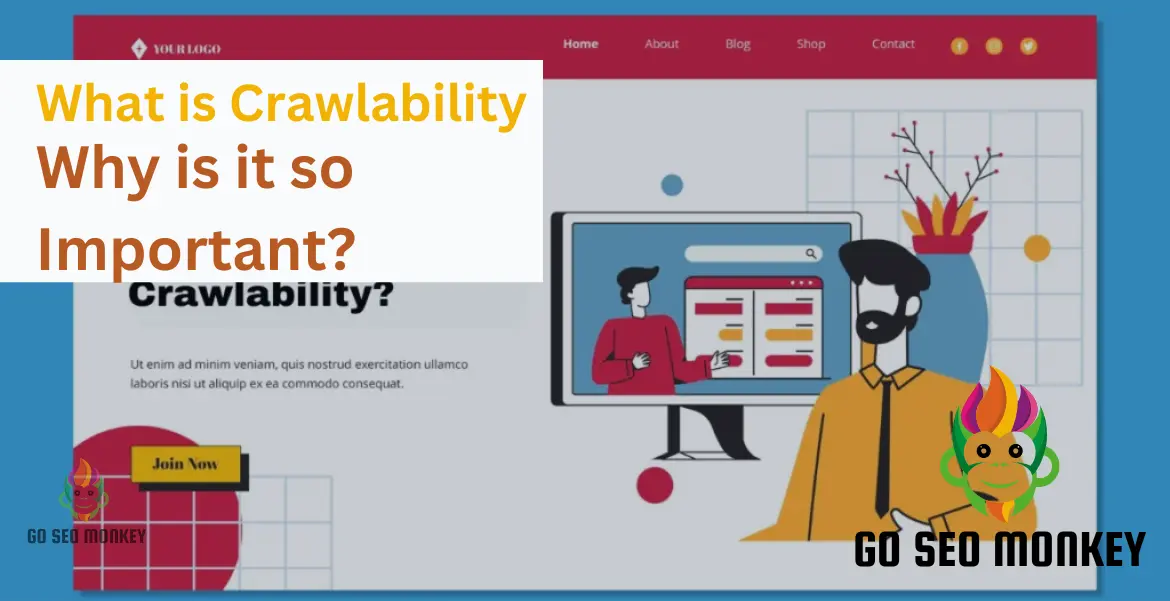 What is Crawlability & Why is it so Important